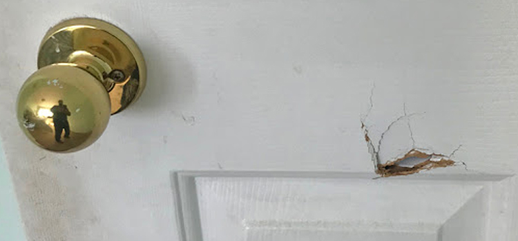 interior door hole repair Southeast Edmonton