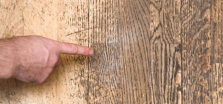 Wood Door Scratch Repair in Southeast Edmonton